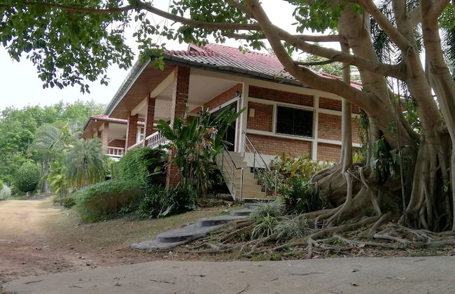 Freedom Estate - Photo 54