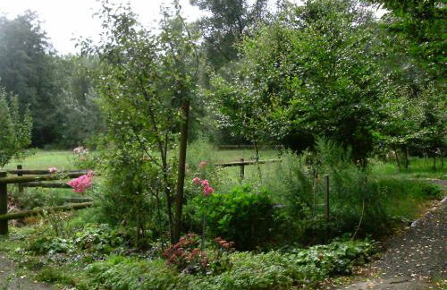 Riggers Hof - Foto 14