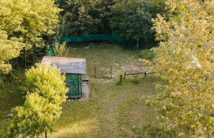 Family friendly house with a swimming pool Tounj, Gorski kotar - 17577 - Foto 6