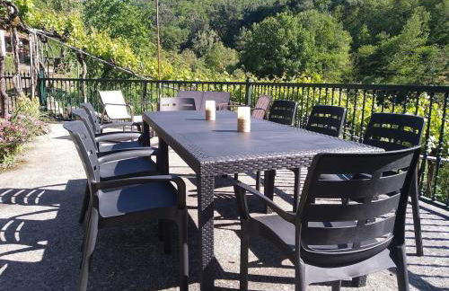 Casa en Viñoas (Ribeira Sacra) - Foto 2