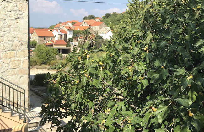 House Pod Humom - Foto 34