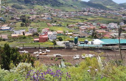 La Casita de Omar en el corazón de Anaga y La Laguna - Foto 44