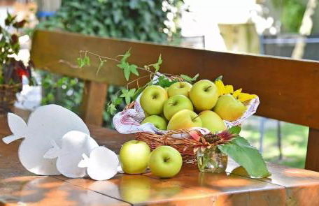 Wohnung Gravensteiner Schnalserhof - Foto 19