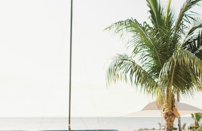 The Islands of Islamorada - Foto 61