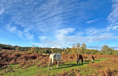 The Piggery - Foto 24