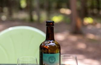 Isla Fern - Modern Cabin Retreat at Sleeping Bear Dunes - Foto 35