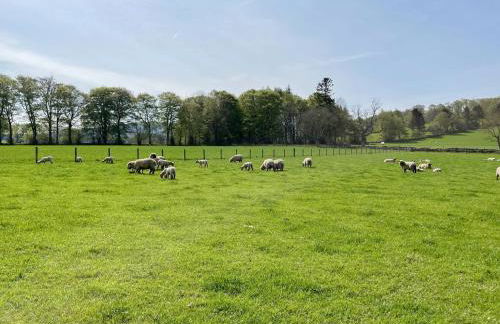 Longcroft Cottage - 28233 - Foto 12