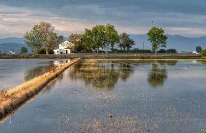 Can Carles - Delta del Ebro - Foto 49