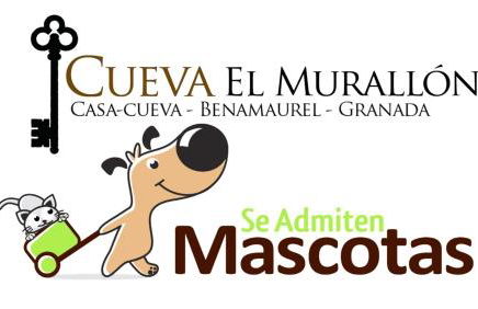 Cueva El Murallon Benamaurel - Foto 17