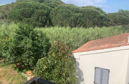 Appartement indépendant dans villa, entre Fréjus et St Raphaël - Foto 18