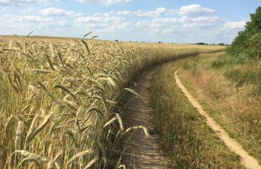Lindenhof Wohnung 2, Erdgeschoß - Foto 26