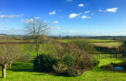 Little Glebe - Foto 22