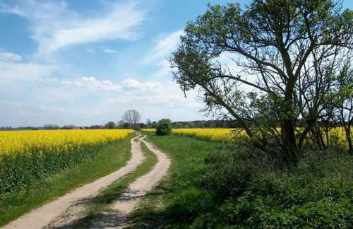Auszeit zu zweit - Usedom Ferienwohnungen Tannengrund - Foto 32