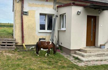 Chata kociewska - Foto 5