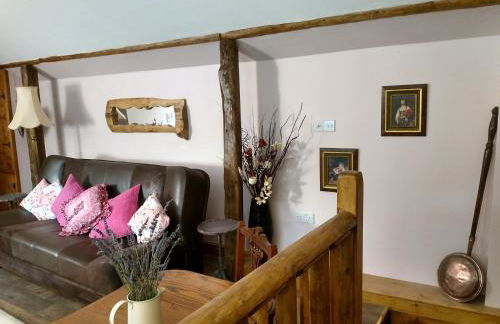 Brecon Boutique Breaks River Run - Foto 27