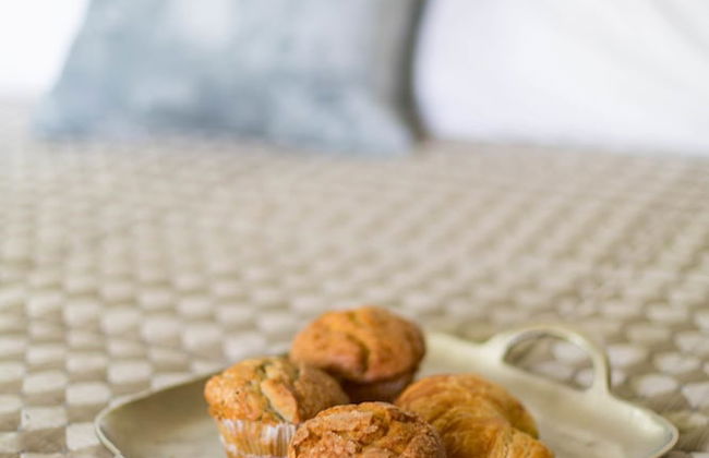 Garden Oasis Near Downtown - Photo 2