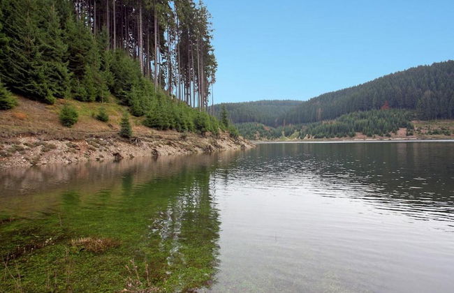 Ferienwohnung mit Sauna in Schonbrunn Thuringen - Photo 32
