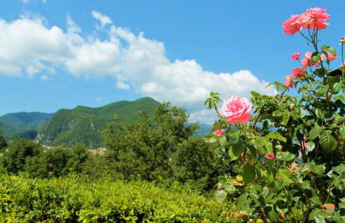 Le Coccole - Foto 27