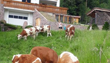 Polzhof - Foto 5