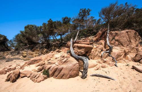 Residence I Mirti - Photo 44