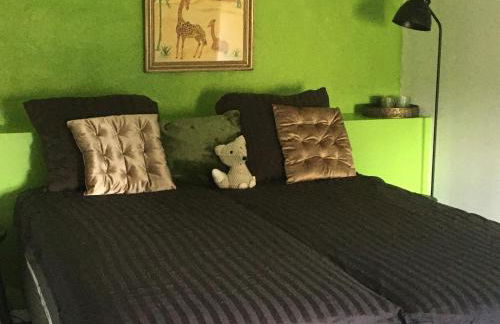 Domaine du Cammazet - Foto 28