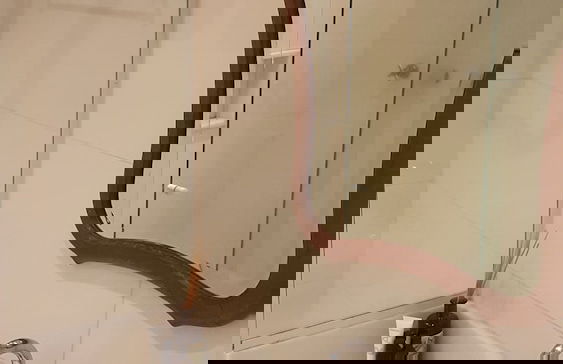 Etours - Maravilhoso Apto no Coração de Ipanema - Foto 20