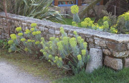 Villa Noroit - Foto 61