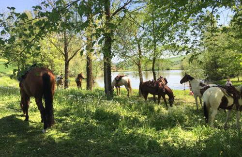 Agriturismo Il Colle del Falco - Photo 39
