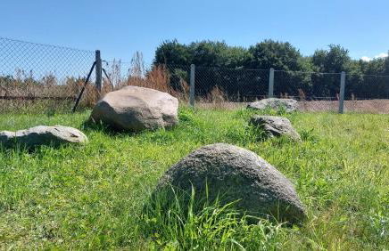 Zielony Domek - Foto 31