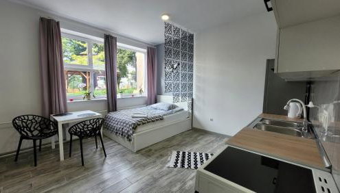 Apartamenty Parkowe nr 2 - Foto 5, stove