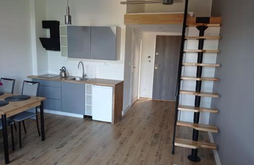 Apartamenty Kasztanowa Zator - Foto 27