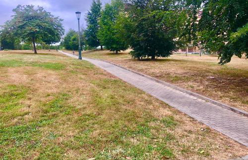 El Rosarino - Foto 2