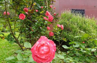 Refúgio Atlântico - Foto 56