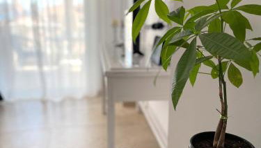 Odysseus Boutique Apartment - Foto 3