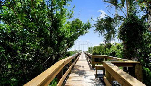 Oceanfront Oasis - Foto 3