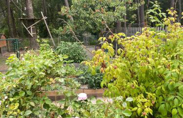 Maison du Grand Pin - Foto 42