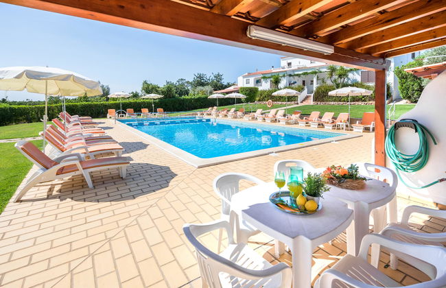 Flor da Laranja - Foto 36