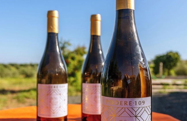 Agriturismo Bio Podere 109 - Wine & Food - Foto 78