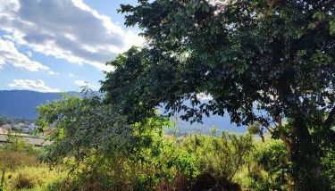 Casa de Temporada Xisto - Foto 3