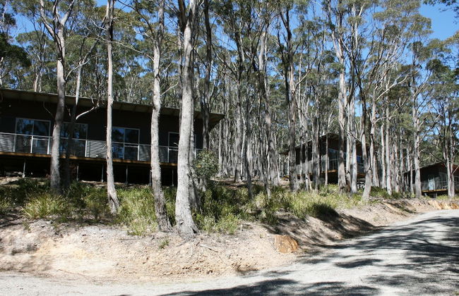 Craggy Peaks Wilderness Cabins - Foto 64