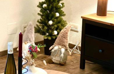 Alsace's Home - Photo 11