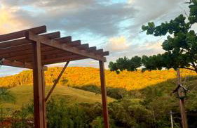 Cantinho da Paz! - Foto 30