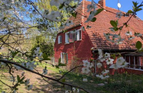 Räuberstube 90 qm - einsam - ruhig - Insel im Land - Foto 28