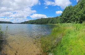 Leśne Wspomnienia - Foto 39