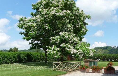 Agriturismo Miralduolo - Foto 76