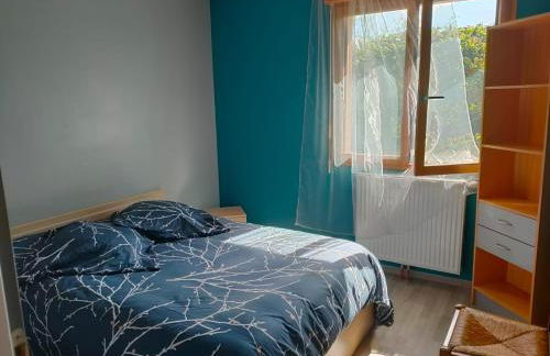 la champagnolaise - Foto 19