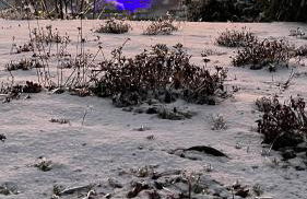 KITTERLELODGE Suite 1 à 5 personnes avec vue - Foto 17