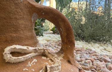 Serenity In Gonia - Foto 35