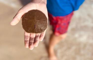 Beach Haven - Foto 19