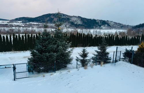 Dom z widokiem - Foto 60